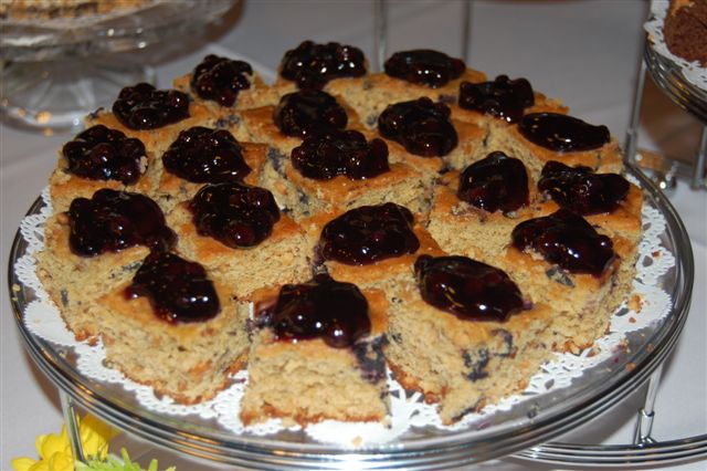 Nutty Blueberry Squares